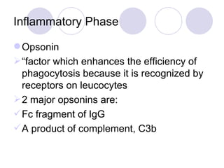 Inflammatory Phase Opsonin “ factor which enhances the efficiency of phagocytosis because it is recognized by receptors on leucocytes 2 major opsonins are: Fc fragment of IgG A product of complement, C3b 