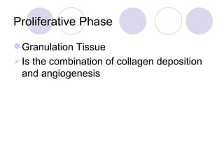 Proliferative Phase Granulation Tissue Is the combination of collagen deposition and angiogenesis 