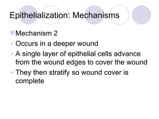 Fwd: Wound Healing | PPT
