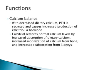 Calcium balance 
◦ With decreased dietary calcium, PTH is 
secreted and causes increased production of 
calcitriol, a hormone 
◦ Calcitriol restores normal calcium levels by 
increased absorption of dietary calcium, 
increased mobilization of calcium from bone, 
and increased reabsorption from kidneys 
 