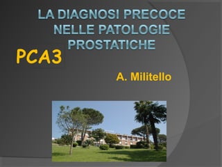 A. Militello 
PCA3 
 