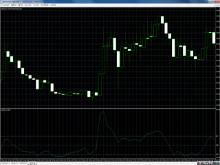 FX(Foreign Exchange)  毛利 考佑