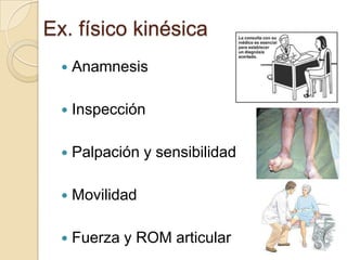 Ex. físico kinésica
     Anamnesis

     Inspección

     Palpación y sensibilidad

     Movilidad

     Fuerza y ROM articular
 