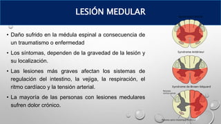 • Daño sufrido en la médula espinal a consecuencia de
un traumatismo o enfermedad
• Los síntomas, dependen de la gravedad de la lesión y
su localización.
• Las lesiones más graves afectan los sistemas de
regulación del intestino, la vejiga, la respiración, el
ritmo cardíaco y la tensión arterial.
• La mayoría de las personas con lesiones medulares
sufren dolor crónico.
LESIÓN MEDULAR
 