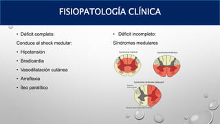 • Déficit completo:
Conduce al shock medular:
• Hipotensión
• Bradicardia
• Vasodilatación cutánea
• Arreflexia
• Íleo paralítico
• Déficit incompleto:
Síndromes medulares
FISIOPATOLOGÍA CLÍNICA
 