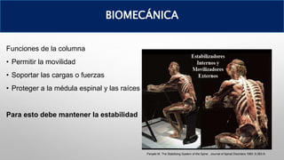 Funciones de la columna
• Permitir la movilidad
• Soportar las cargas o fuerzas
• Proteger a la médula espinal y las raíces
Para esto debe mantener la estabilidad
Panjabi M. The Stabilizing System of the Spine . Journal of Spinal Disorders 1993 ;5:383-9-
BIOMECÁNICA
 