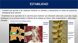 • Cualidad que permite a las vértebras mantener su cohesión y alineamiento en todas las posiciones
fisiológicas de la columna
“ Estabilidad es la capacidad de la columna para mantener una alineación adecuada y que bajo cargas
fisiológicas no se produzca lesión o irritación de la medula y/o raíces, dolor incapacitante o deformidad ”
(Panjabi)
ESTABILIDAD
 