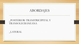 ABORDAJES
_POSTERIOR: TRANSTRICIPITAL Y
TRANSOLECRANEANA
_LATERAL
 