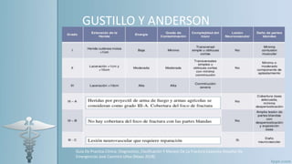GUSTILLO Y ANDERSON
Guía De Practica Clínica: Diagnostico, Clasificación Y Manejo De La Fractura Expuesta Hospital De
Emergencias José Casimiro Ulloa (Mayo 2018).
 