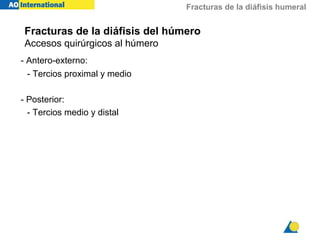 Fracturas de la diáfisis humeral
- Antero-externo:
- Tercios proximal y medio
- Posterior:
- Tercios medio y distal
Fracturas de la diáfisis del húmero
Accesos quirúrgicos al húmero
 