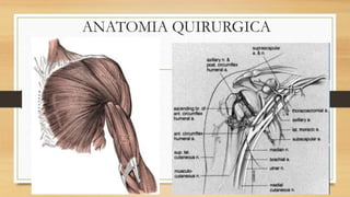 ANATOMIA QUIRURGICA
 