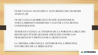 FX DE CUELLO ANATOMICO: ALTO RIESGO DE NECROSIS
AVASCULAR
FX DE CUELLO QUIRRUGICO PUEDE MANTENER SU
VASCULARIDAD CONSERVADA Y LLEVAR A UNA BUENA
CONSOLIDACION
TENER EN CUENTA AL TENDON DE LA PORCION LARGA DEL
BICEPS QUE PUEDE QUEDAR ATRATADO ENTRE LOS
FRAGMENTOS Y DIFICULTAR LA REDUCCION
LA ARTERIA CIRCUNFLEA ANTERIOR ES LA PRINCIPAL
ECNARGADA DE LA IRRIGACION
 