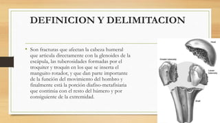 DEFINICION Y DELIMITACION
• Son fracturas que afectan la cabeza humeral
que articula directamente con la glenoides de la
escápula, las tuberosidades formadas por el
troquiter y troquín en los que se inserta el
manguito rotador, y que dan parte importante
de la función del movimiento del hombro y
finalmente está la porción diafiso-metafisiaria
que continúa con el resto del húmero y por
consiguiente de la extremidad.
 