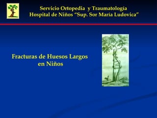 Servicio Ortopedia  y Traumatología  Hospital de Niños “Sup. Sor María Ludovica” Fracturas de Huesos Largos en Niños 