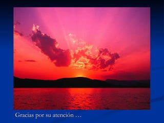 Gracias por su atención … 