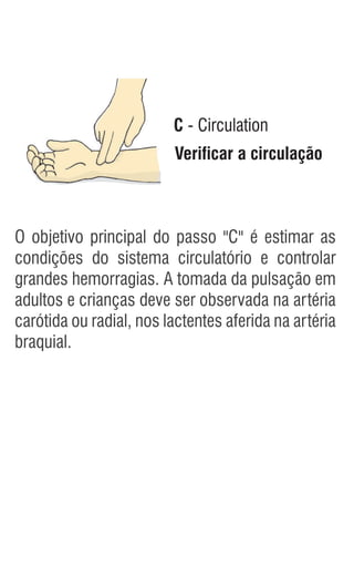 C - Circulation
Verificar a circulação
O objetivo principal do passo "C" é estimar as
condições do sistema circulatório e controlar
grandes hemorragias. A tomada da pulsação em
adultos e crianças deve ser observada na artéria
carótida ou radial, nos lactentes aferida na artéria
braquial.
 