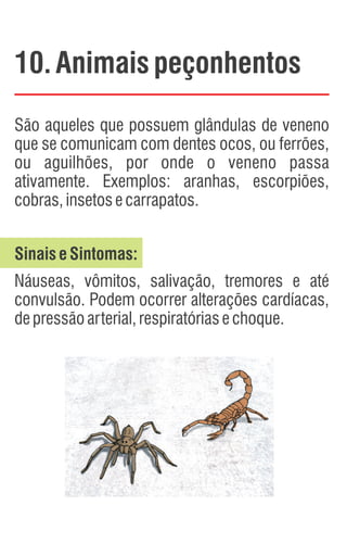 10. Animaispeçonhentos
São aqueles que possuem glândulas de veneno
que se comunicam com dentes ocos, ou ferrões,
ou aguilhões, por onde o veneno passa
ativamente. Exemplos: aranhas, escorpiões,
cobras,insetosecarrapatos.
SinaiseSintomas:
Náuseas, vômitos, salivação, tremores e até
convulsão. Podem ocorrer alterações cardíacas,
depressãoarterial,respiratóriasechoque.
 