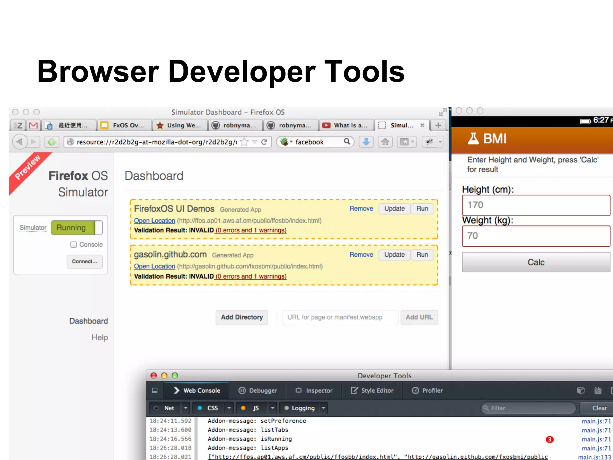 Browser Developer Tools
 