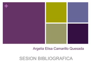 +
Argelia Elisa Camarillo Quesada
SESION BIBLIOGRAFICA
 
