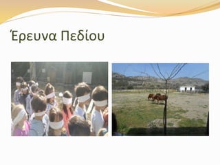 Έρευνα Πεδίου
 