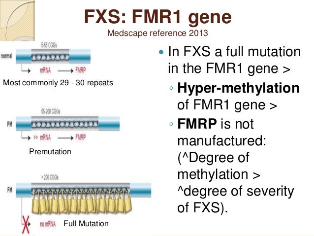 Fragile X Repeat Chart