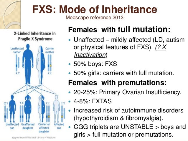 Fragile X Repeat Chart