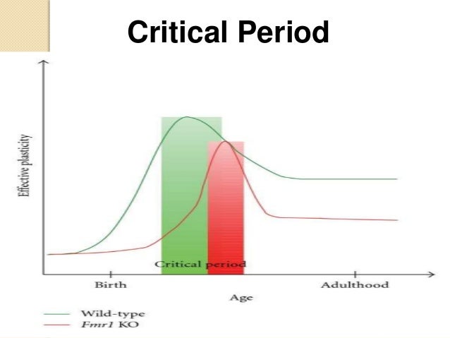 x test fragile pregnancy blood X Fragile Syndrome x test fragile pregnancy blood X Fragile Syndrome