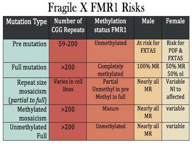 Fragile X Repeat Chart