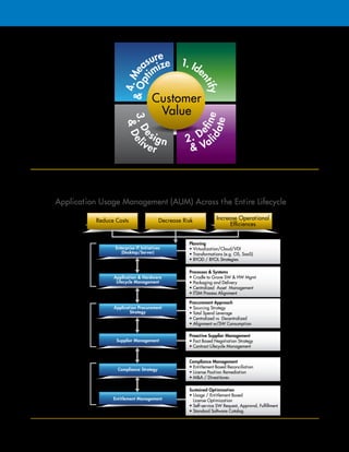 Flexera Software Application Discovery and Normalization Services | PDF
