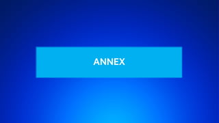 ANNEX
 
