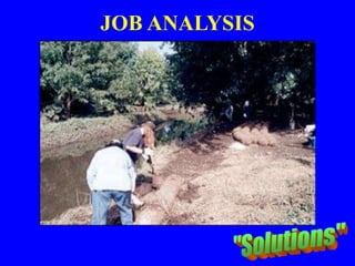 JOB ANALYSIS
 
