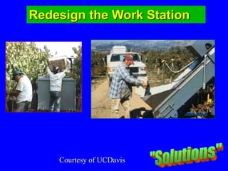 Redesign the Work Station
Courtesy of UCDavis
 