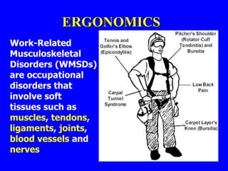 ERGONOMICS
Work-Related
Musculoskeletal
Disorders (WMSDs)
are occupational
disorders that
involve soft
tissues such as
muscles, tendons,
ligaments, joints,
blood vessels and
nerves
 