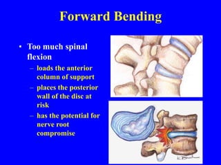 Forward Bending
• Too much spinal
flexion
– loads the anterior
column of support
– places the posterior
wall of the disc at
risk
– has the potential for
nerve root
compromise
 