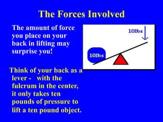The Forces Involved
The amount of force
you place on your
back in lifting may
surprise you!
Think of your back as a
lever - with the
fulcrum in the center,
it only takes ten
pounds of pressure to
lift a ten pound object.
 