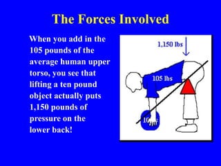 The Forces Involved
When you add in the
105 pounds of the
average human upper
torso, you see that
lifting a ten pound
object actually puts
1,150 pounds of
pressure on the
lower back!
 