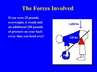 The Forces Involved
If you were 25 pounds
overweight, it would add
an additional 250 pounds
of pressure on your back
every time you bend over!
 