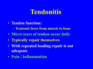 Tendonitis
• Tendon function:
– Transmit force from muscle to bone
• Micro tears of tendon occur daily
• Typically repair themselves
• With repeated loading repair is not
adequate
• Pain / Inflammation
 