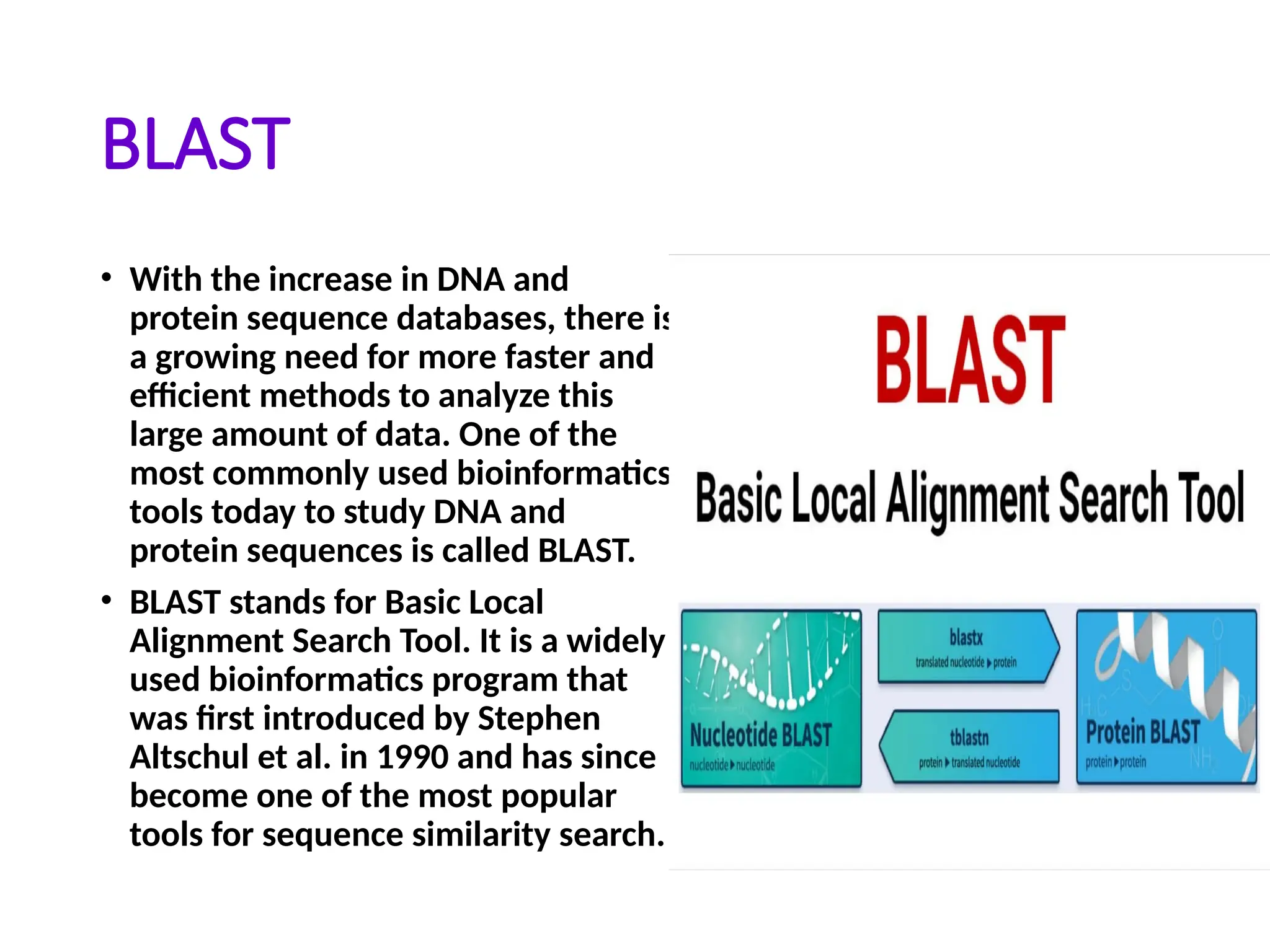 BLAST
• With the increase in DNA and
protein sequence databases, there is
a growing need for more faster and
efficient methods to analyze this
large amount of data. One of the
most commonly used bioinformatics
tools today to study DNA and
protein sequences is called BLAST.
• BLAST stands for Basic Local
Alignment Search Tool. It is a widely
used bioinformatics program that
was first introduced by Stephen
Altschul et al. in 1990 and has since
become one of the most popular
tools for sequence similarity search.
 