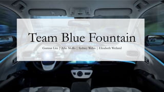 Team Blue Fountain
Gunnar Litz | Allie Mollo | Sydney Wehn | Elizabeth Weiland
 