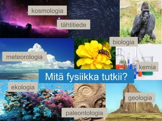 kemia
meteorologia
geologia
paleontologia
Mitä fysiikka tutkii?
ekologia
kosmologia
biologia
KUVAT: PIXABAY
tähtitiede
3
 