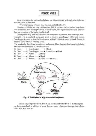 Ecosystem_full concept and detailed explanation all.pdf