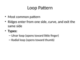 Identify and differentiate various types of Thumb prints. (E) | PPTX