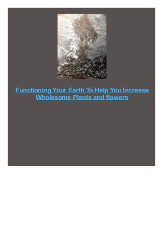Functioning Your Earth To Help You Increase
Wholesome Plants and flowers
 