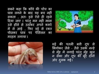 िबने कहा कक कौवे की चोंच का
घाव लिने के बाद यह बच नहीं
िकता , अतः इिे ऐिे ही िहने
हदया जाए I पिंतु मन नहीं माना
उिे हौले िे उठाकि अपने कमिे
में ले आई , कफि र्रई िे िक्त
पोंछकि घाव पि पेंसिलन का
मिहम लिाया I
रूई की पतली बत्ती दूध िे
सििोकि जैिे - तैिे उिके नन्हे
िे मुाँह में लिाई पिंतु मुाँह खुल
न िका औि दूध की बूंदे दोनों
ओि दुलक िई I
05/05/2020 7Nibha Verma CMS G N 1 Lucknow
 