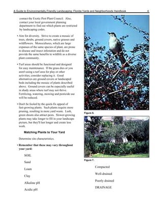 A Guide to Environmentally Friendly Landscaping: Florida Yards and Neighborhoods Handbook   4

    contact the Exotic Pest Plant Council. Also,
    contact your local government planning
    department to find out which plants are restricted
    by landscaping codes.

  • Aim for diversity. Strive to create a mosaic of
    trees, shrubs, ground covers, native grasses and
    wildflowers. Monocultures, which are large
    expanses of the same species of plant, are prone
    to disease and insect infestation and do not
    provide the same benefits to wildlife as a diverse
    plant community.

  • Turf areas should be functional and designed
    for easy maintenance. If the grass dies or you
    aren't using a turf area for play or other
    activities, consider replacing it. Good
    alternatives are ground covers or landscaped
    beds including the mosaic of plants described
    above. Ground covers can be especially useful
    in shady areas where turf may not thrive.
    Fertilizing, watering, mowing and pesticide use
    will be reduced.

  • Don't be fooled by the quick-fix appeal of
    fast-growing plants. Such plants require more
    pruning, resulting in more yard waste. Lush,
                                                         Figure 6.
    green shoots also attract pests. Slower-growing
    plants may take longer to fill in your landscape
    picture, but they'll last longer and create less
    work.

        Matching Plants to Your Yard

    Determine site characteristics.

  • Remember that these may vary throughout
    your yard:

        SOIL
                                                         Figure 7.
        Sand
                                                                     Compacted
        Loam
                                                                     Well-drained
        Clay
                                                                     Poorly drained
        Alkaline pH
                                                                     DRAINAGE
        Acidic pH
 