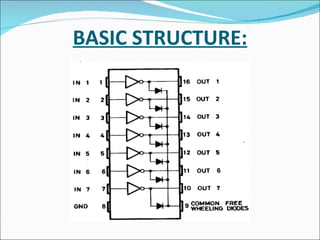 BASIC STRUCTURE: 