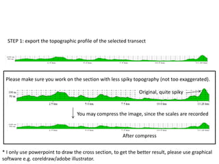 STEP 1: export the topographic profile of the selected transect
Please make sure you work on the section with less spiky topography (not too exaggerated).
You may compress the image, since the scales are recorded
Original, quite spiky
After compress
* I only use powerpoint to draw the cross section, to get the better result, please use graphical
software e.g. coreldraw/adobe illustrator.
 