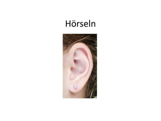 Hörseln
 