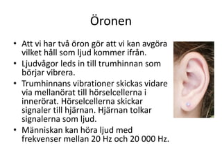 Öronen
• Att vi har två öron gör att vi kan avgöra
vilket håll som ljud kommer ifrån.
• Ljudvågor leds in till trumhinnan som
börjar vibrera.
• Trumhinnans vibrationer skickas vidare
via mellanörat till hörselcellerna i
innerörat. Hörselcellerna skickar
signaler till hjärnan. Hjärnan tolkar
signalerna som ljud.
• Människan kan höra ljud med
frekvenser mellan 20 Hz och 20 000 Hz.
 